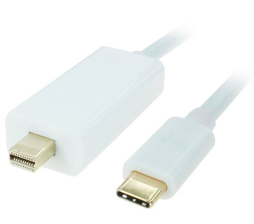 USB 3.1 TYPE C TO MINI DISPLAYPORT CABLE